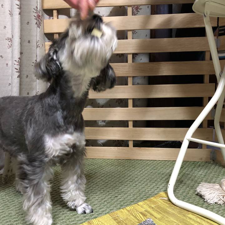 Eee0ce38 a229 47fd b332 b4809b519468 1512906750780