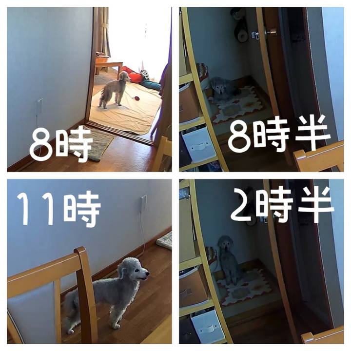 Eee0d57b e157 49b3 9d0c cec292d819ee 1719202093479