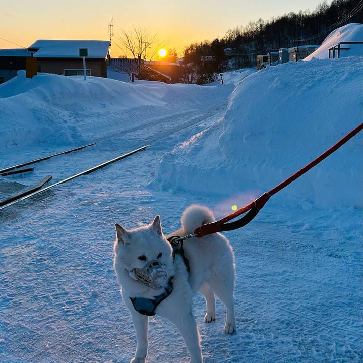 Eee0dc87 88c7 46c8 9ede 9caf98be902e 1740003470235