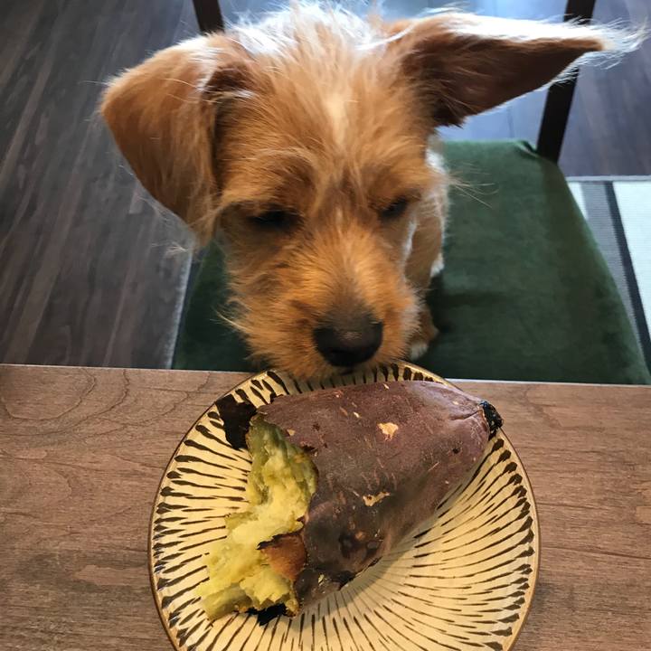 Eee0e8ff 32e0 44b5 9101 04261521d680 1523500388360