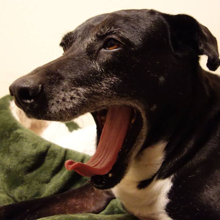 Eee11613 4775 4ba4 85a5 04cccc2773d6 1740482446607