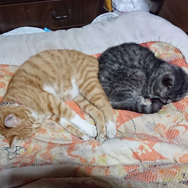 Eee11fa4 aede 42e5 b2f8 638805b59fc6 1571402696941