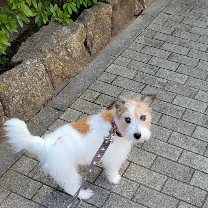 Eee1228e 31c1 47a7 82a7 8f6f5944a869 1762577277977