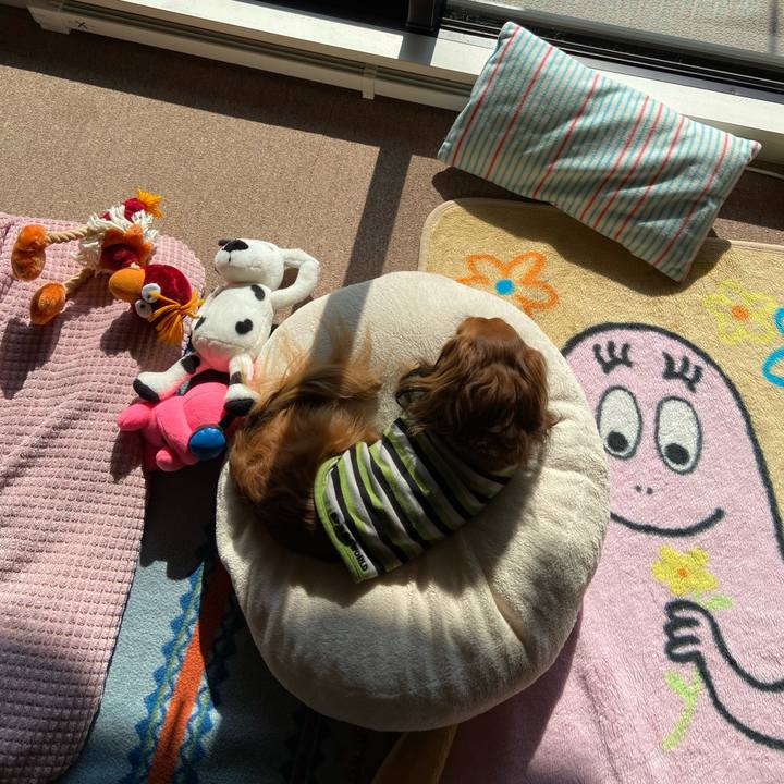 Eee1d0e5 8980 408b a66f bbae1f9ff419 1643165559839