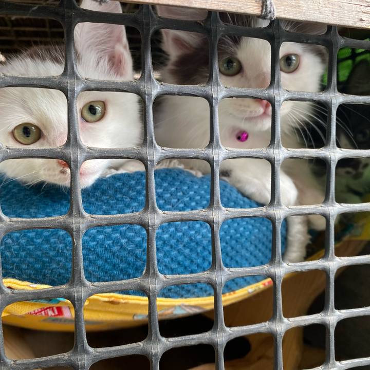 Eee2035e c5e1 48f8 a3e3 0b5764715dde 1687310245782