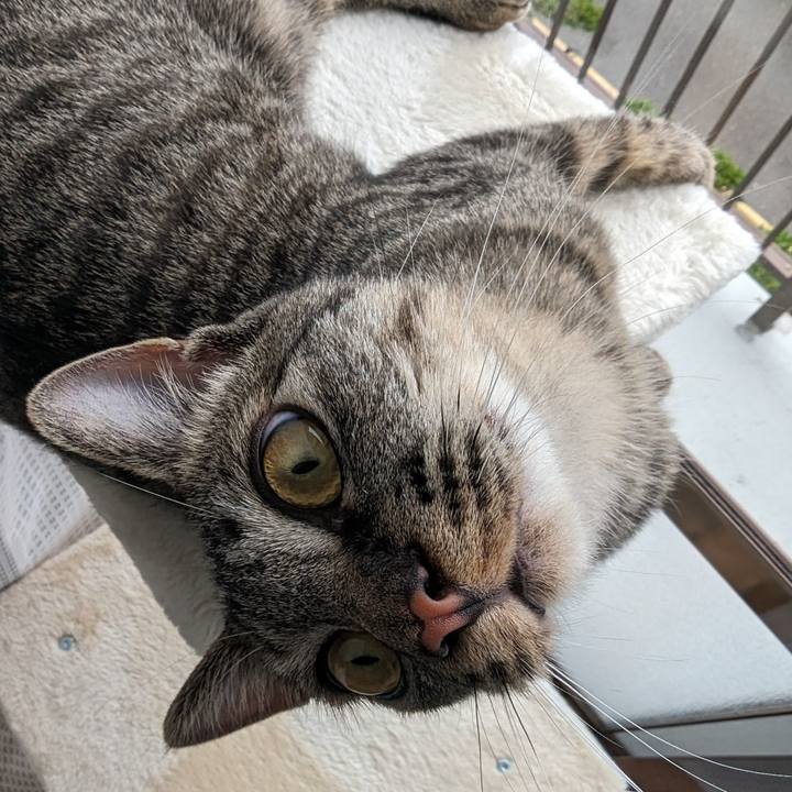 Eee20e16 14c6 4741 b169 a5b549a71b28 1714976286700