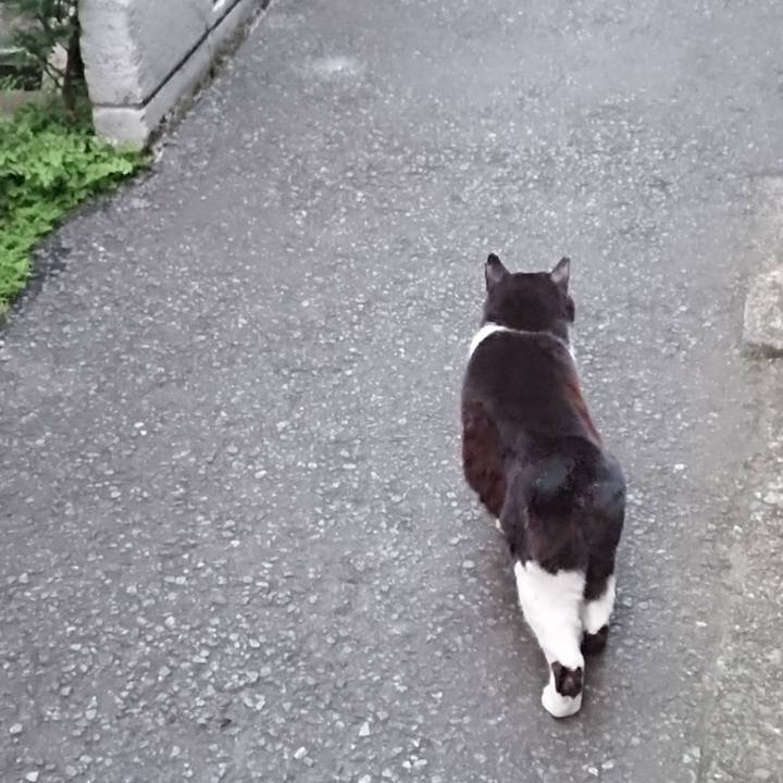 Eee23528 29e0 4b10 9fc8 c8ff671116b1 1685098733561