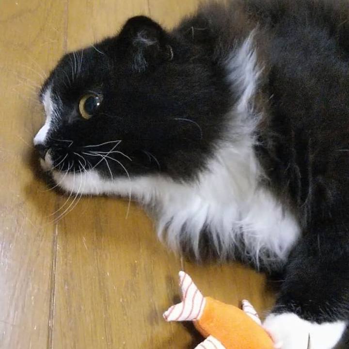 Eee27038 4f58 4866 ba32 eebff67c3026 1652446411585