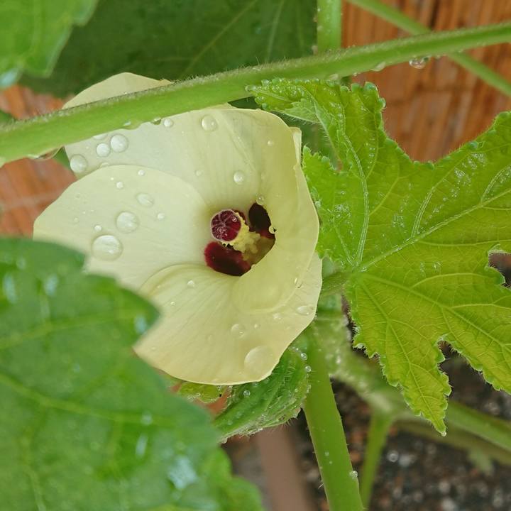 Eee277d7 de61 4911 841d fb280ec24275 1536396158114