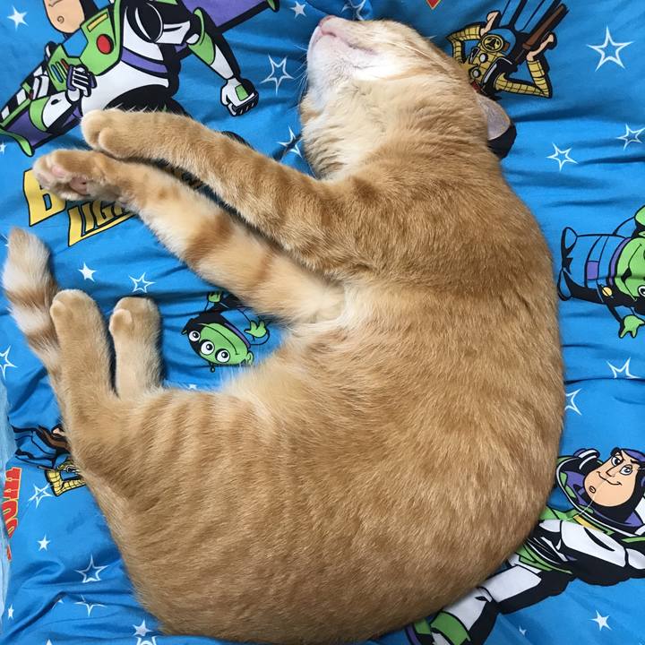 Eee28357 cff2 4e0d 8c52 3f20c67bf2fc 1535980836551