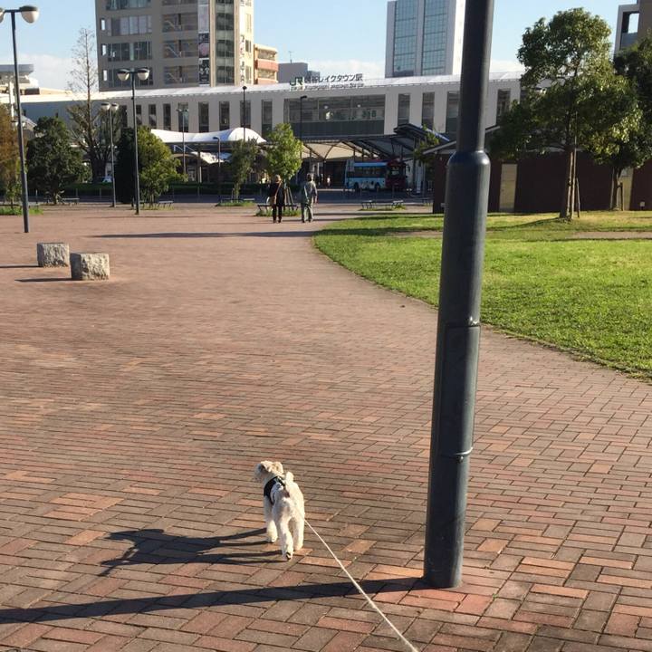 Eee292f2 1deb 4e9f ba2e 19952ac3fc55 1540796194306