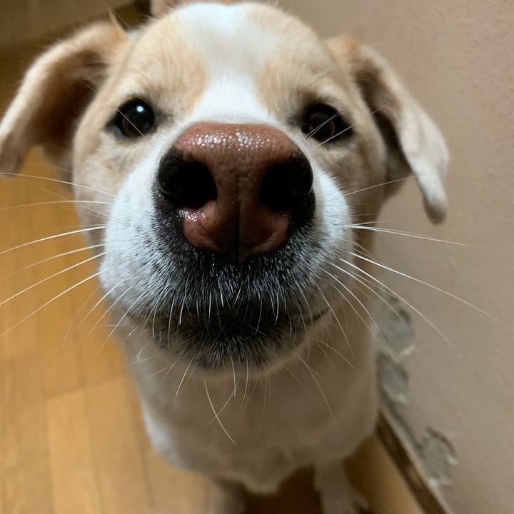 Eee2a20b 9d33 4e2e 9481 33c0b6758c1f 1574940029474