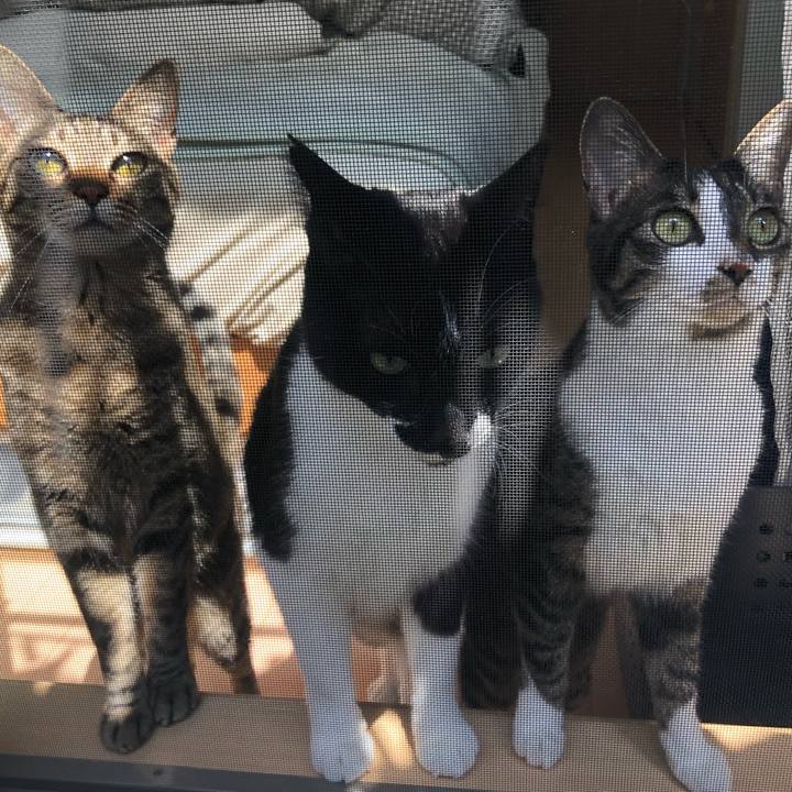 Eee2b375 5fd4 46d7 902e 58eac3aae399 1618109621399