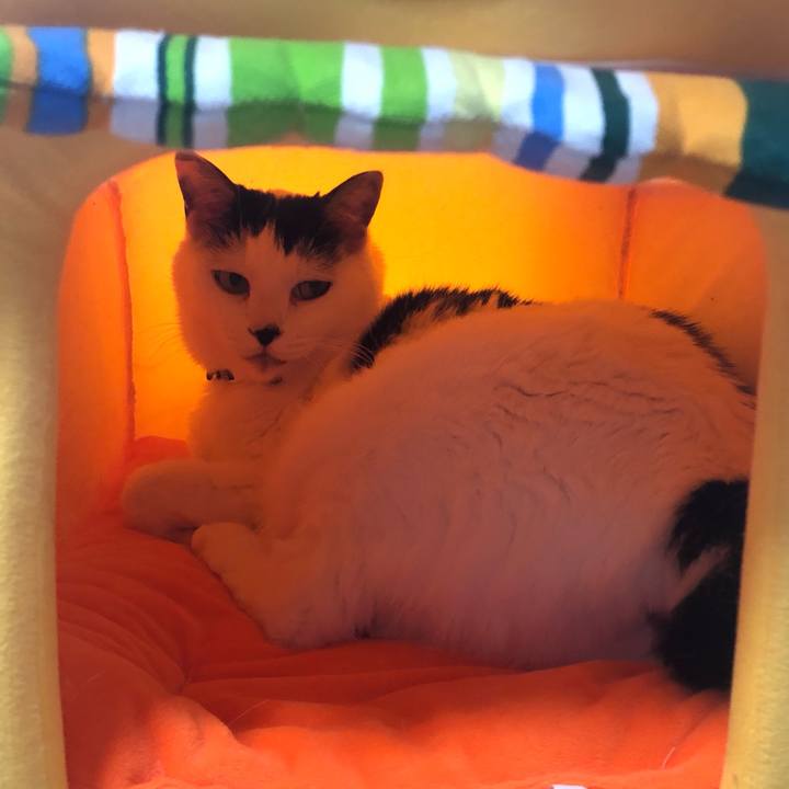 Eee2c1cc 6677 4258 8ff5 9ab51568d53a 1576020527002