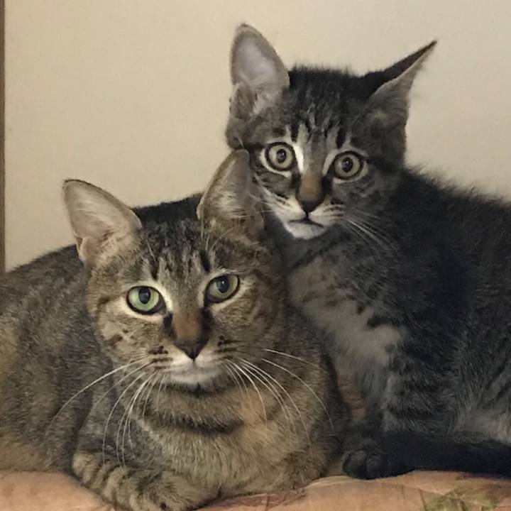 Eee2dc09 8efd 4bf9 8d8e 229d18159e3b 1631617558413