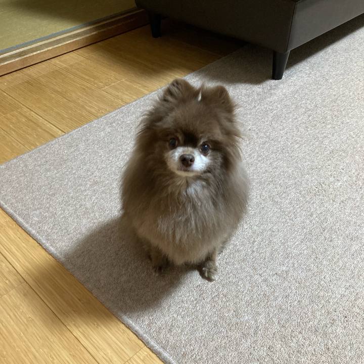 Eee36816 9bf5 4262 9c6e 2210b3e5c696 1676108522486