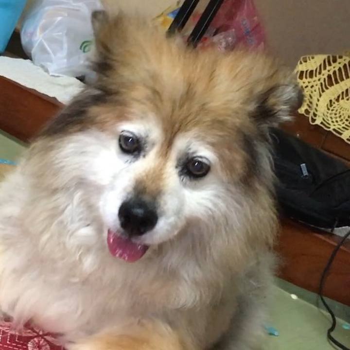 Eee38b83 d650 4ee0 b3e8 33ab2190d9c6 1590543178124