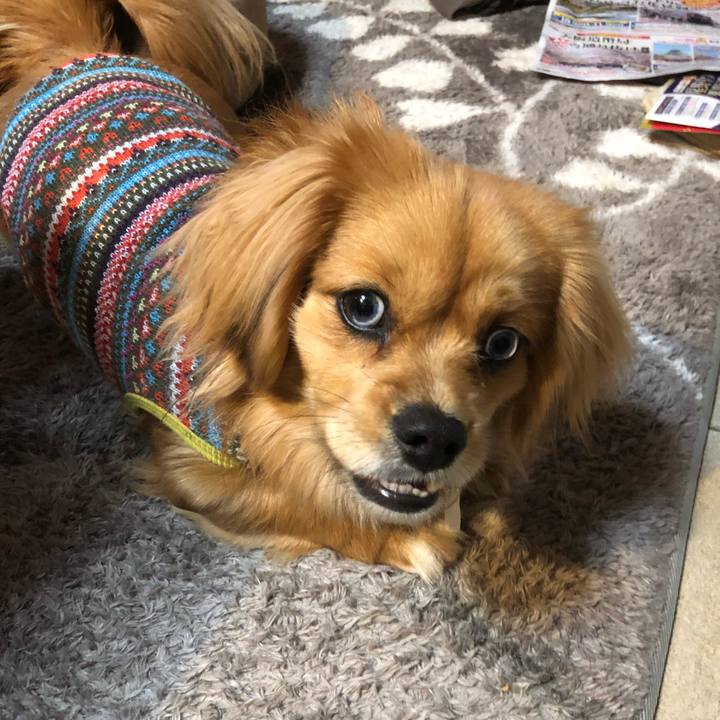 Eee3919d 0111 4816 9ba7 669cddc85b84 1519078919485