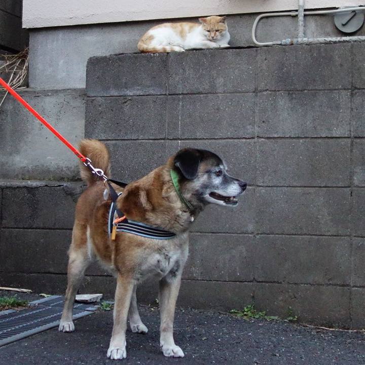 Eee3b153 8344 4eab 9f01 fdbb47df729f 1525517469824