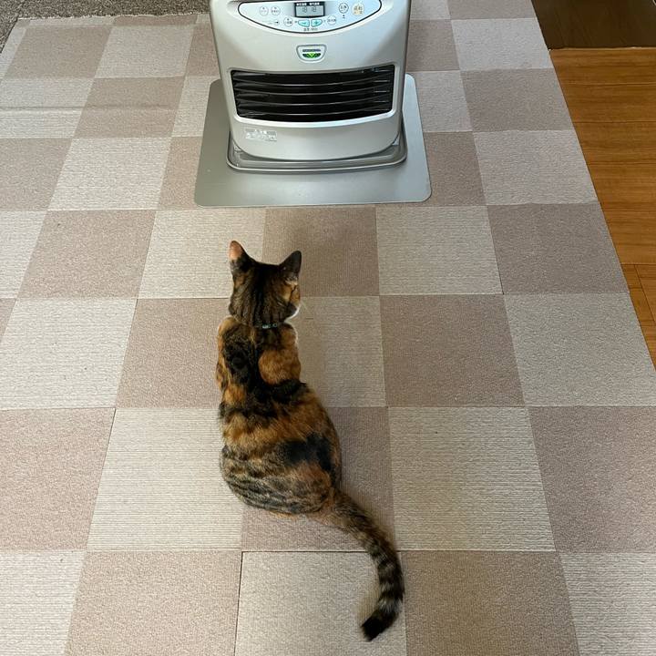 Eee3c31c a966 47ad b871 6231104c4999 1731110536984