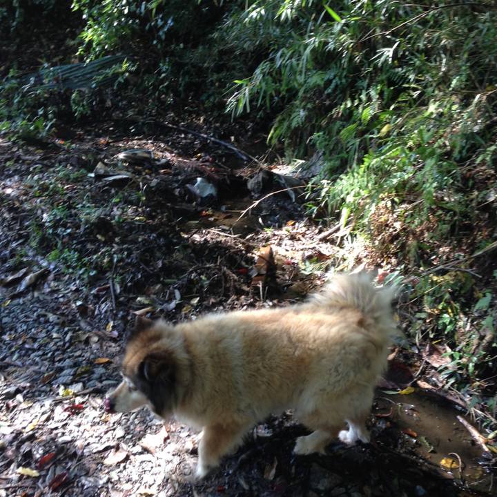 Eee3c723 35fa 4ff2 bd34 e20ceae8c02d 1583906108878