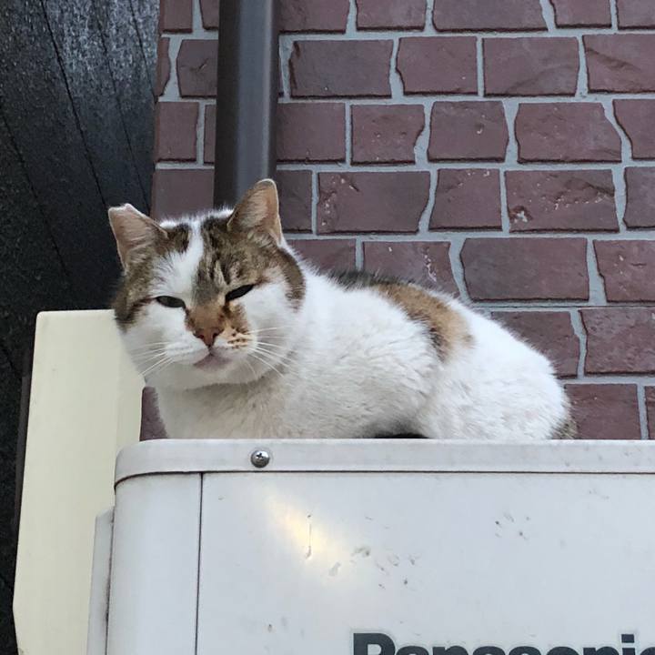 Eee3f98b 0837 4161 ba16 6c84d094974a 1517911231534