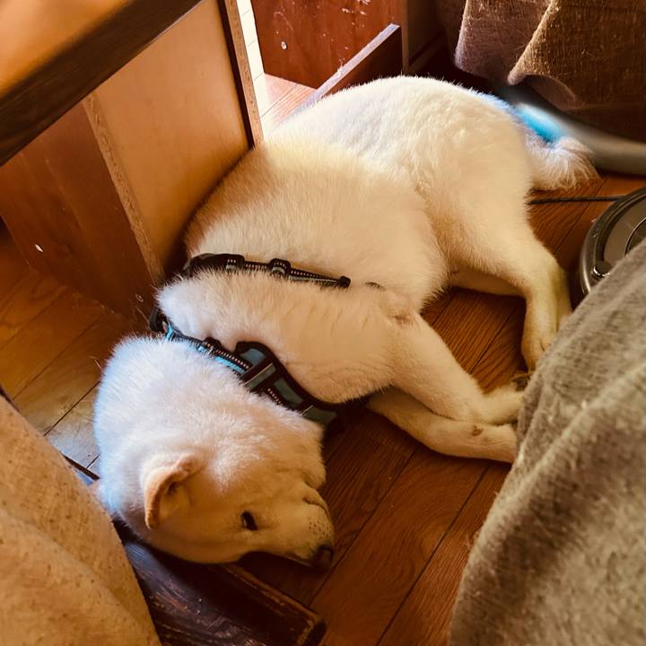 Eee4162f b1da 440e 8fee abdbac6af877 1723185378079