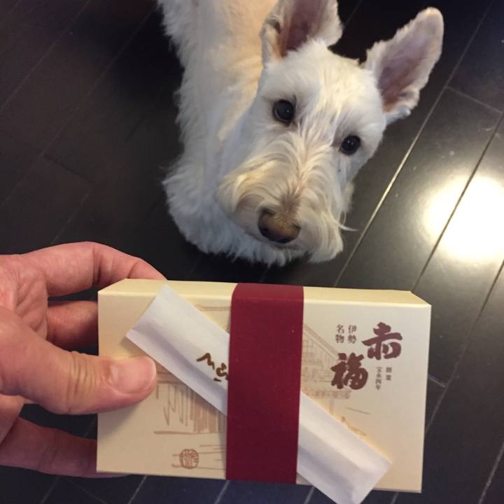 Eee41fc4 290a 4c9e b9d9 e78560a89967 1512106140324