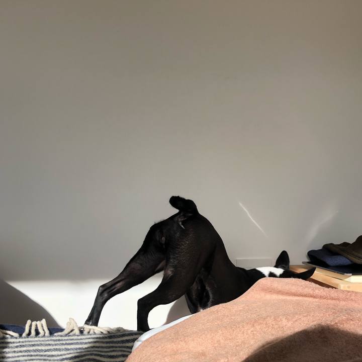 Eee4213e ad51 48df b121 3f6c06c585d2 1545022160182