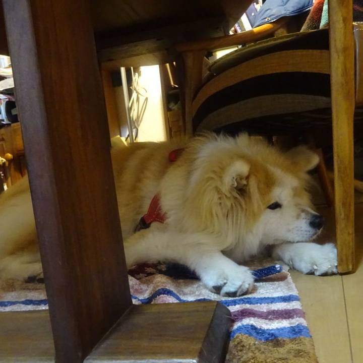 Eee42729 b07d 4876 8eed ba5e3bd6b302 1616415161657