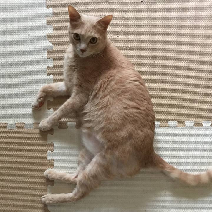 Eee452bd 7178 4e7b 9af3 2f668780d8c8 1584238816485