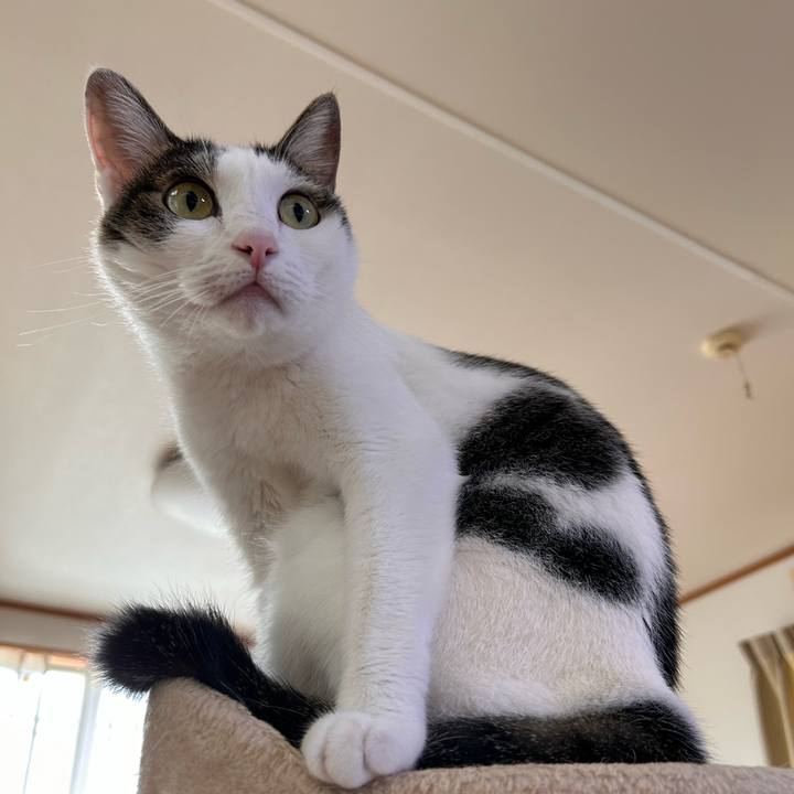 Eee468da 864f 4c57 bdc1 08c31ba418b2 1729923637701