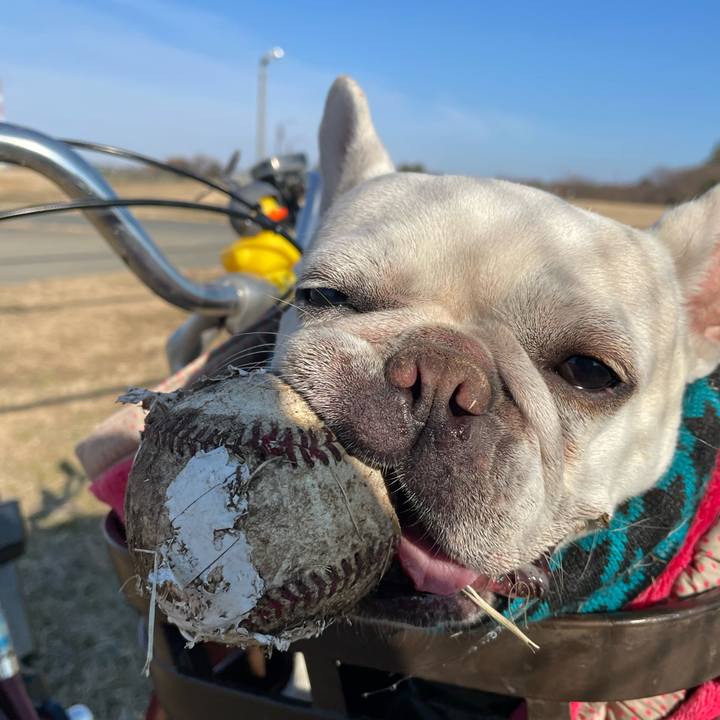 Eee46b6c 2f5f 4baf a1e1 1d2726983fa6 1768088094214