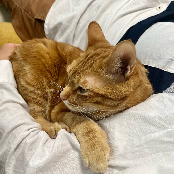 Eee46c3a 041c 4506 bde9 d5c0cada9a84 1652577586994