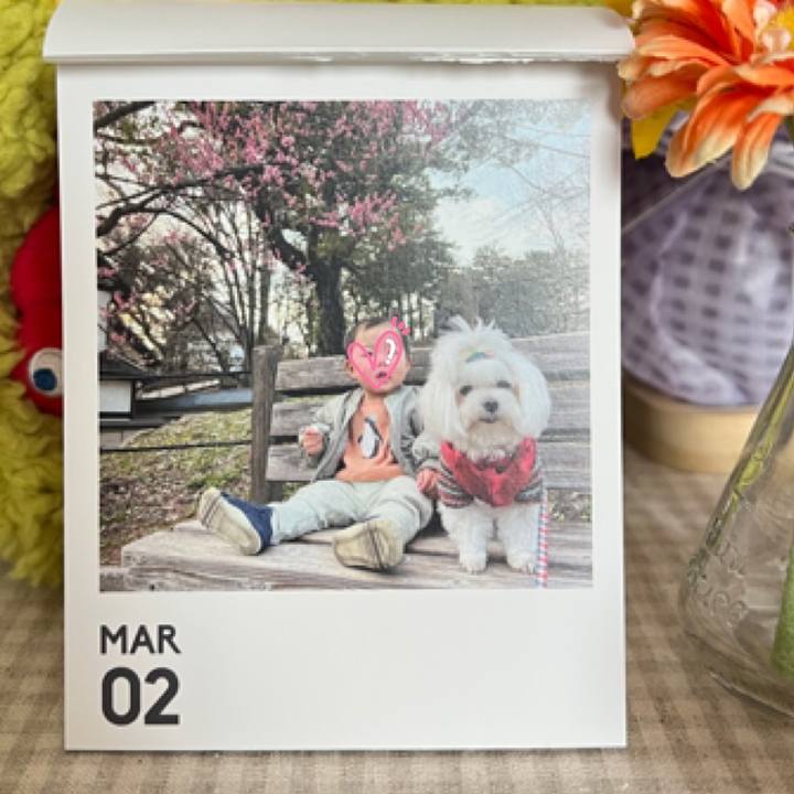 Eee47196 6826 4162 a2f6 1d6e4aa34bbd 1772417836864