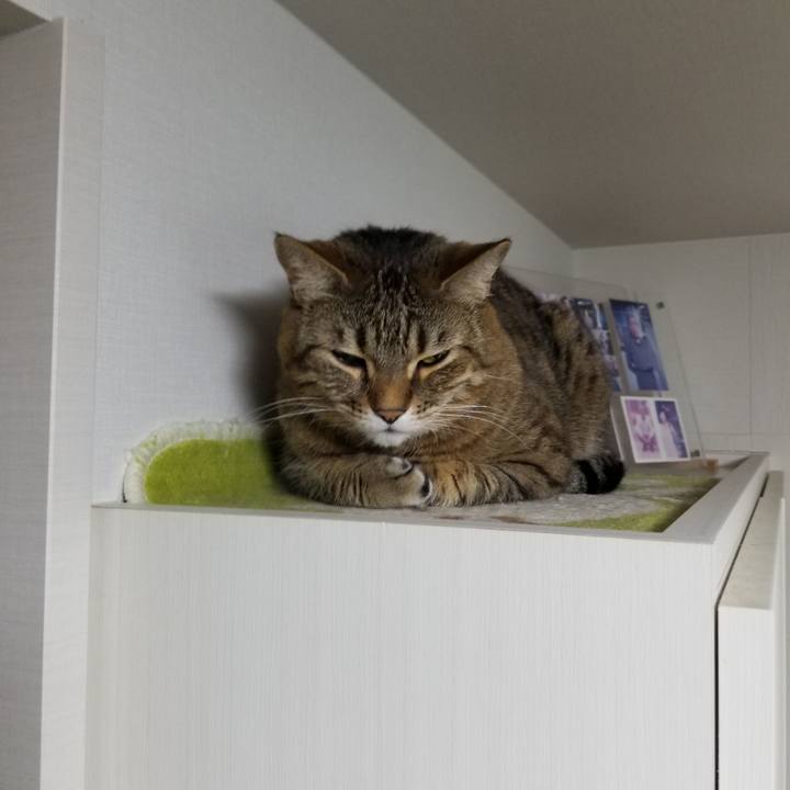 Eee478ba df44 4f18 a0cc cfe6a3860abf 1618959707968