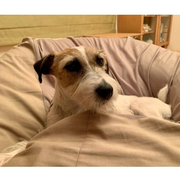 Eee4d278 bf46 4ee2 a8c3 9400b7308c6f 1613984533451