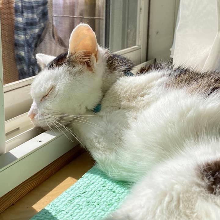 Eee4daa7 8911 4e74 be75 fdab65e40127 1633091018782