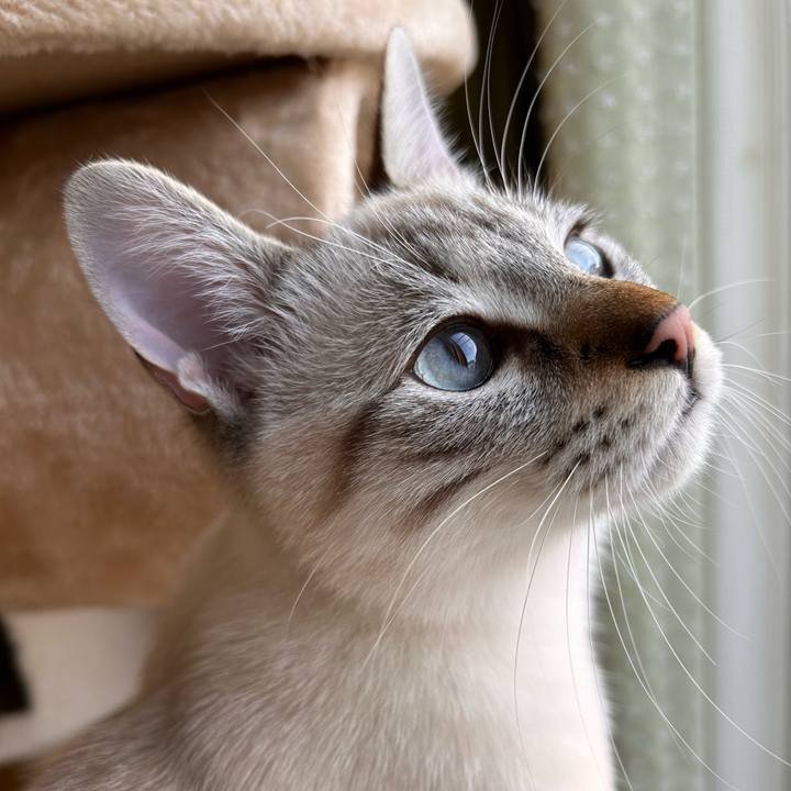 Eee50cf8 abfa 41fb b770 7f73fd126601 1763037850272