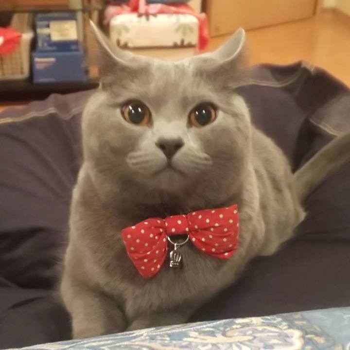 Eee5211e 4c30 4ab1 9de0 17cbef2e88aa 1548288102708