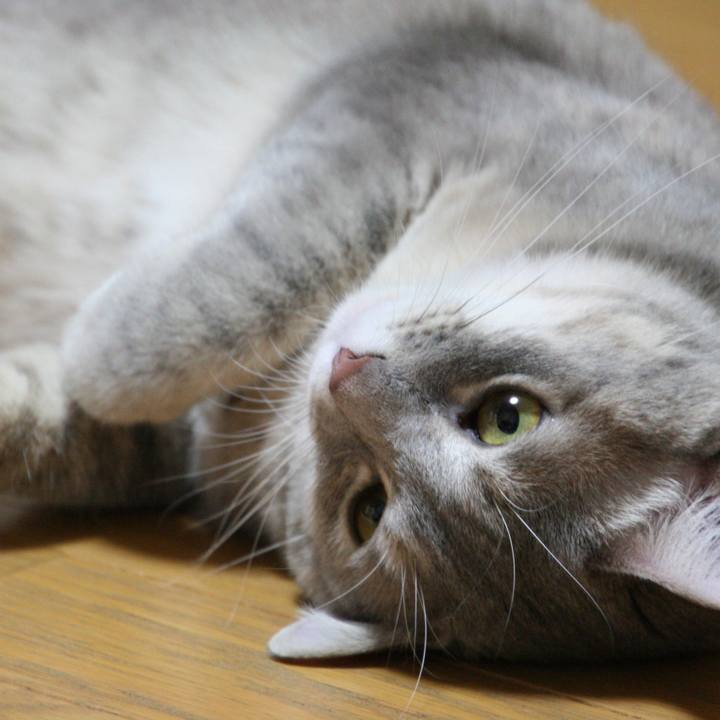 Eee542c2 11e5 4af2 a5ff 3e0059d95bd8 1509497190908