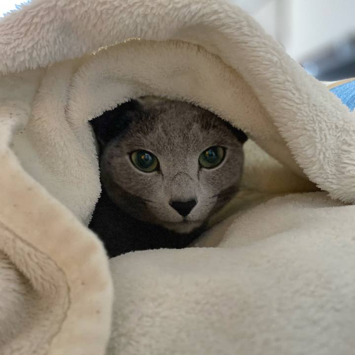 Eee5473f a7c2 4097 b1c7 554c215bc544 1645922960784