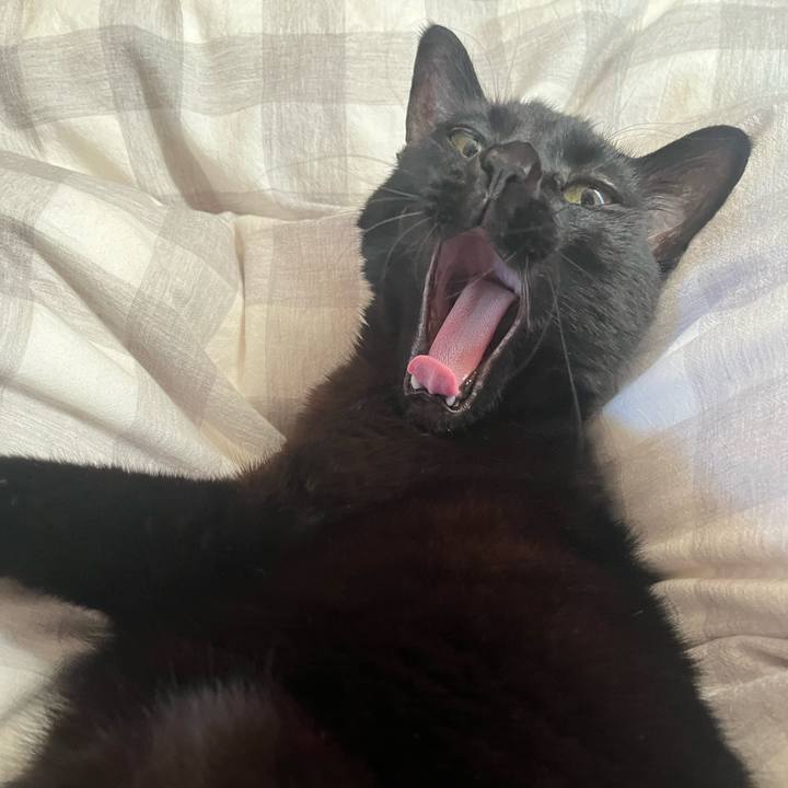 Eee569f2 30a6 4942 b624 d49d5bc289c4 1711066384212