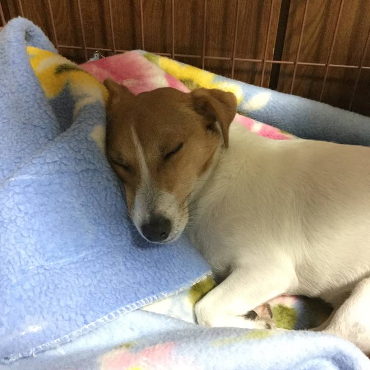 Eee5884a ec58 4f07 b091 712509d71150 1541847406744