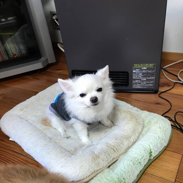 Eee58dae de7c 4b71 99ad 22377d30fbfa 1514974171584