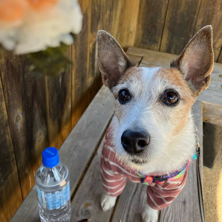 Eee60e36 1308 44f5 be90 7d13d68daa22 1678059185238