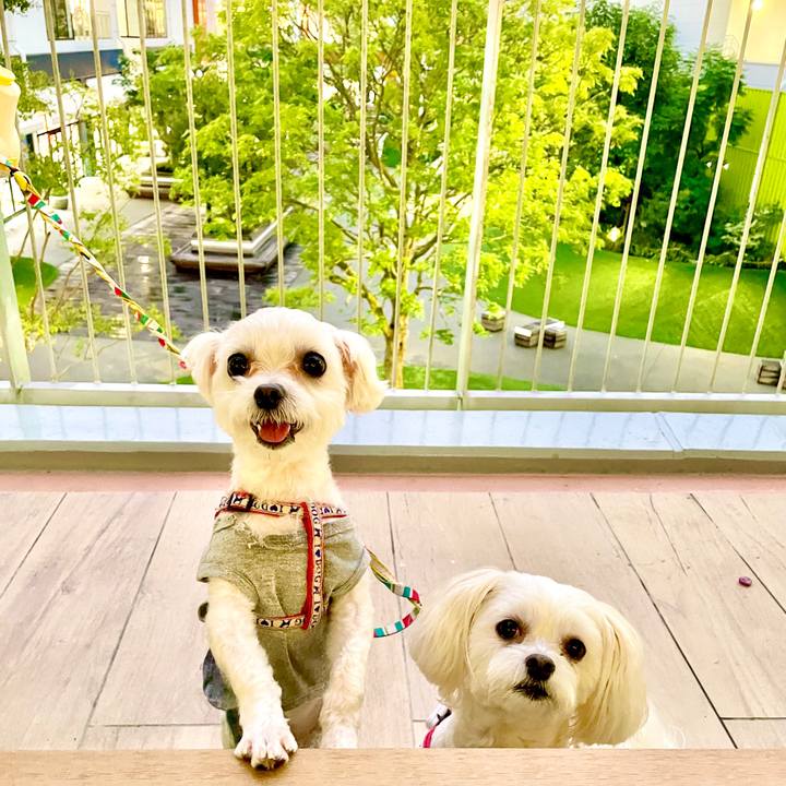 Eee63bdd de32 4421 a251 573698553cf2 1634610428638