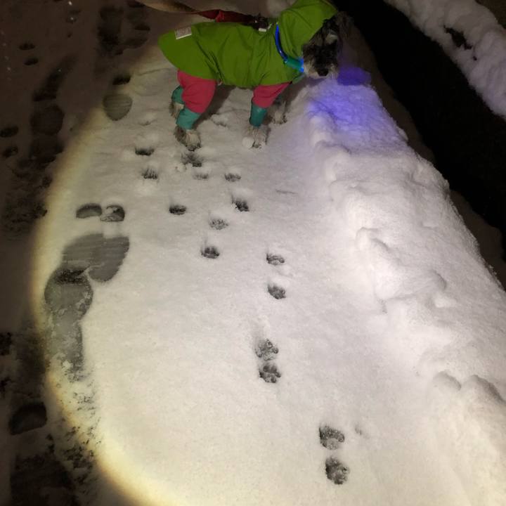 Eee64808 ff0f 4a7d a7f4 5d4ee229140c 1703253951022