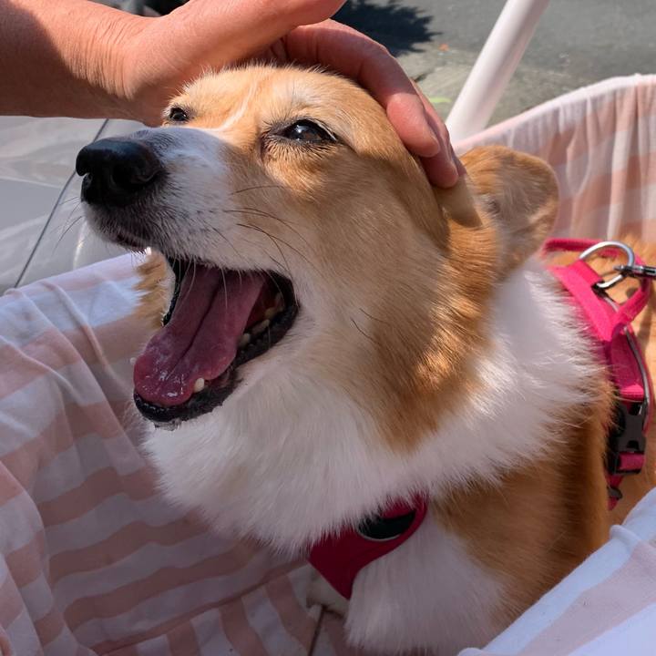 Eee65bff 18a8 459c 93f1 fd32b21af399 1715307341008