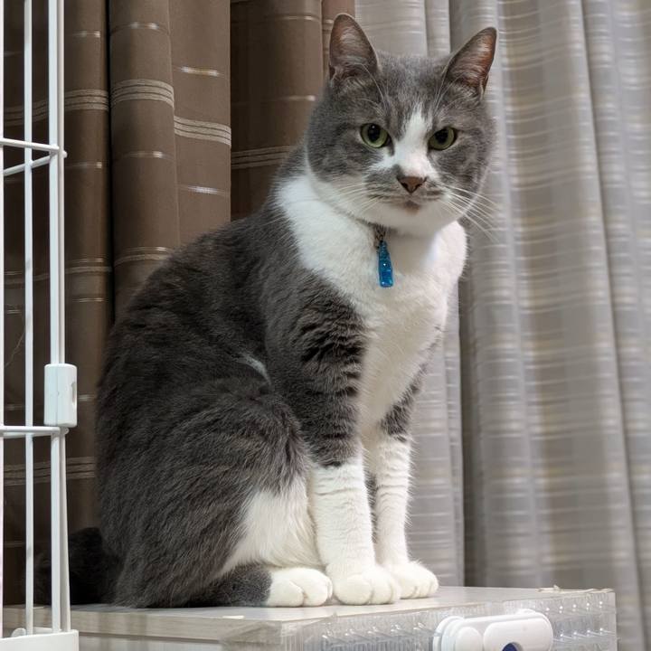 Eee66f58 ab4b 4262 a662 63cafa2f1784 1747830074325